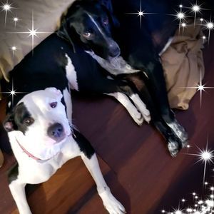 Meet your Posher, Sandra